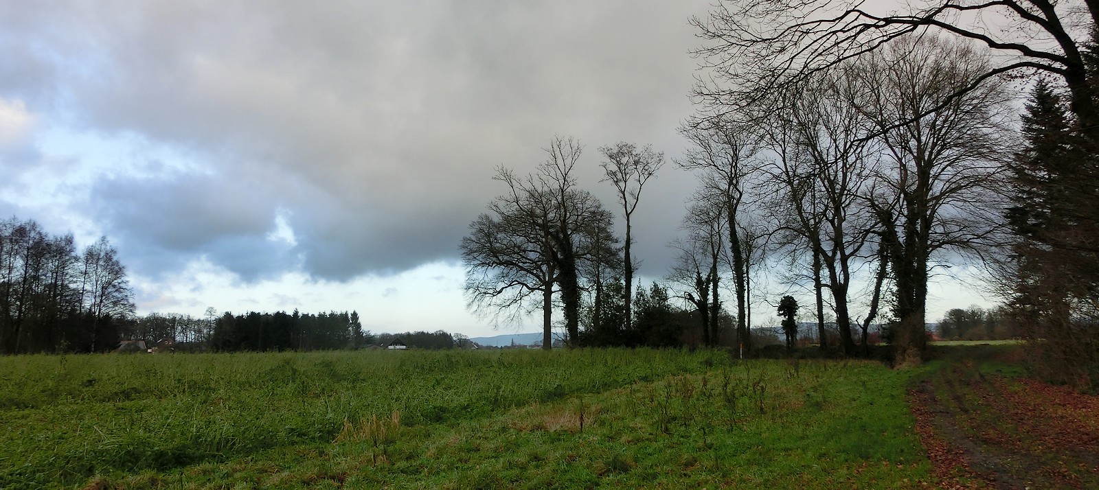 Winterliches Panorama