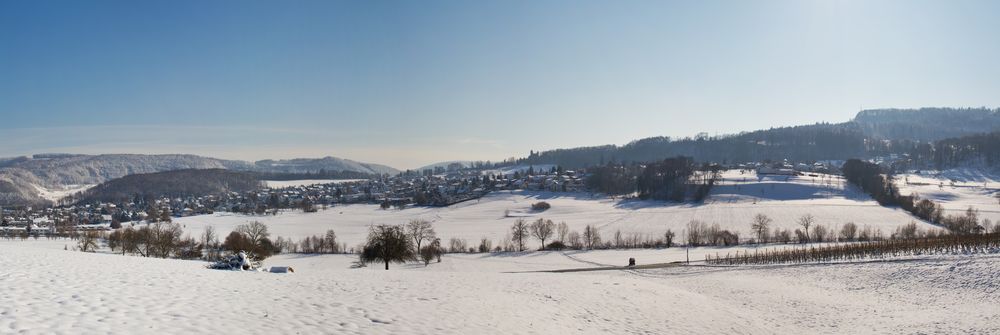 Winterliches Pfeffingen (Kt. BL)