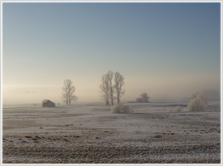 winterliches Pflaumdorfer Moor