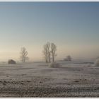 winterliches Pflaumdorfer Moor