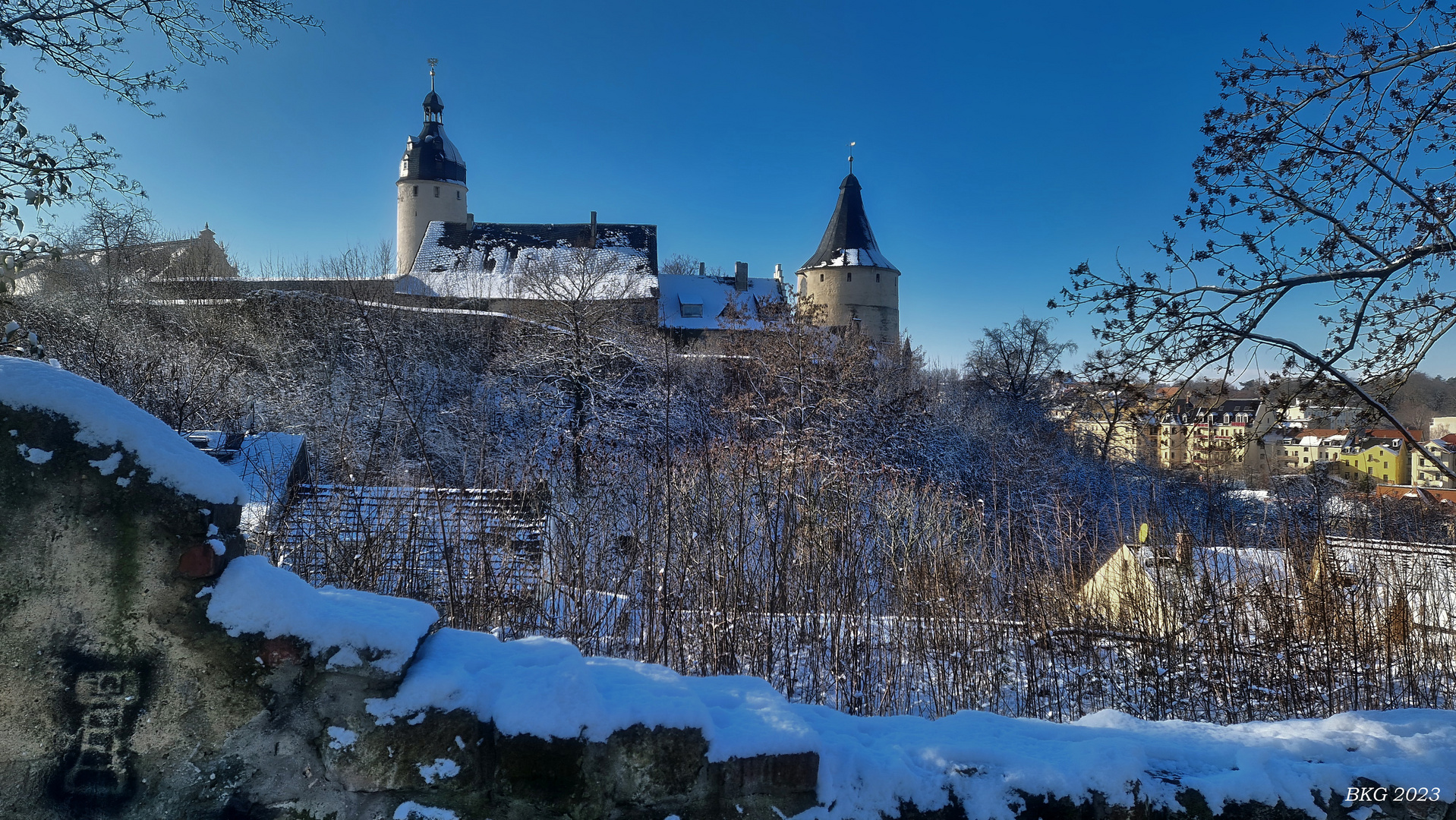 Winterliches Residenzschloss Altenburg 