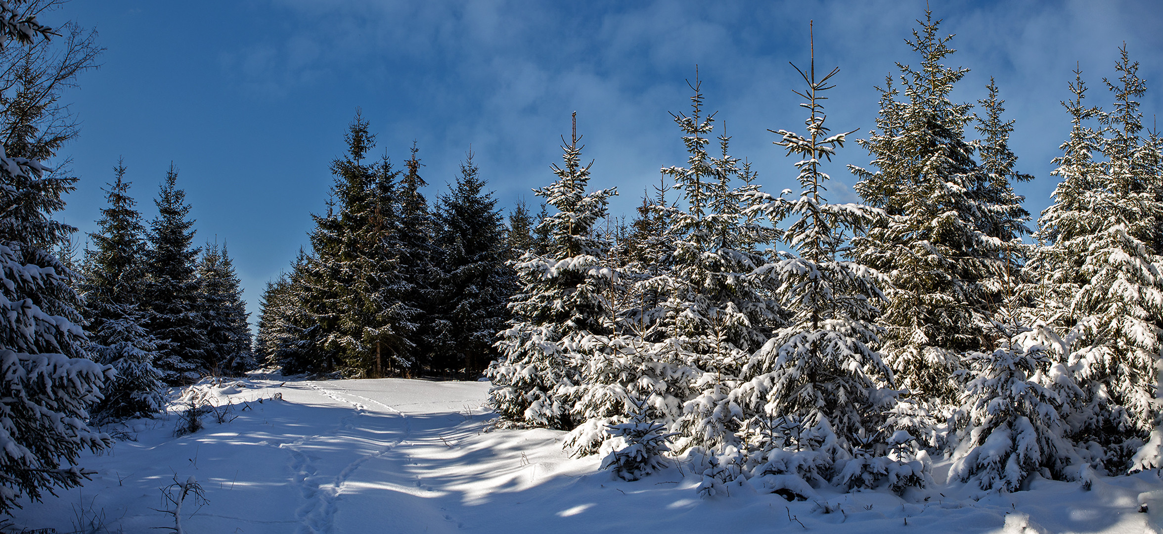 Winterliches Sauerland 002 ein