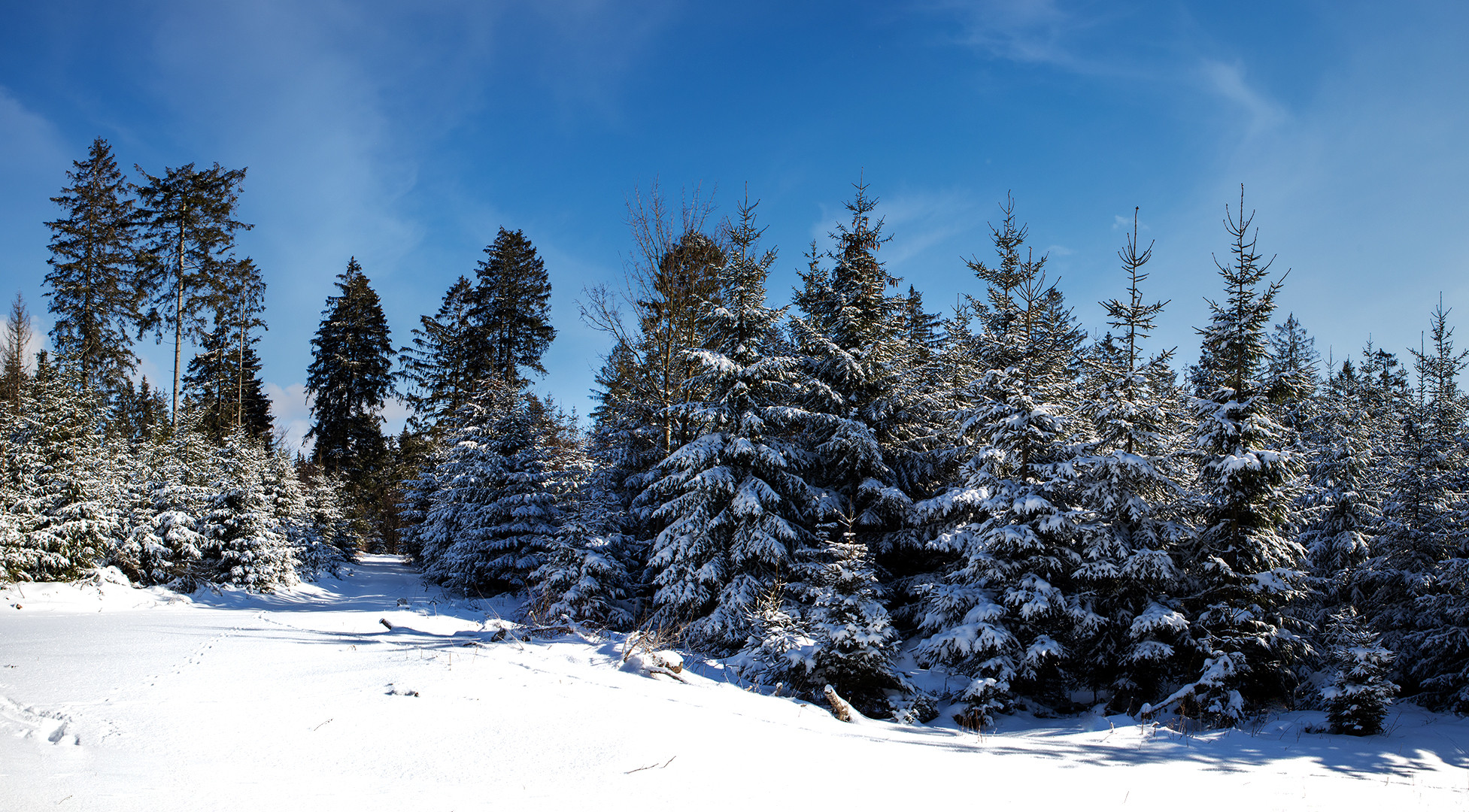 Winterliches Sauerland 011 