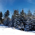 Winterliches Sauerland 011 