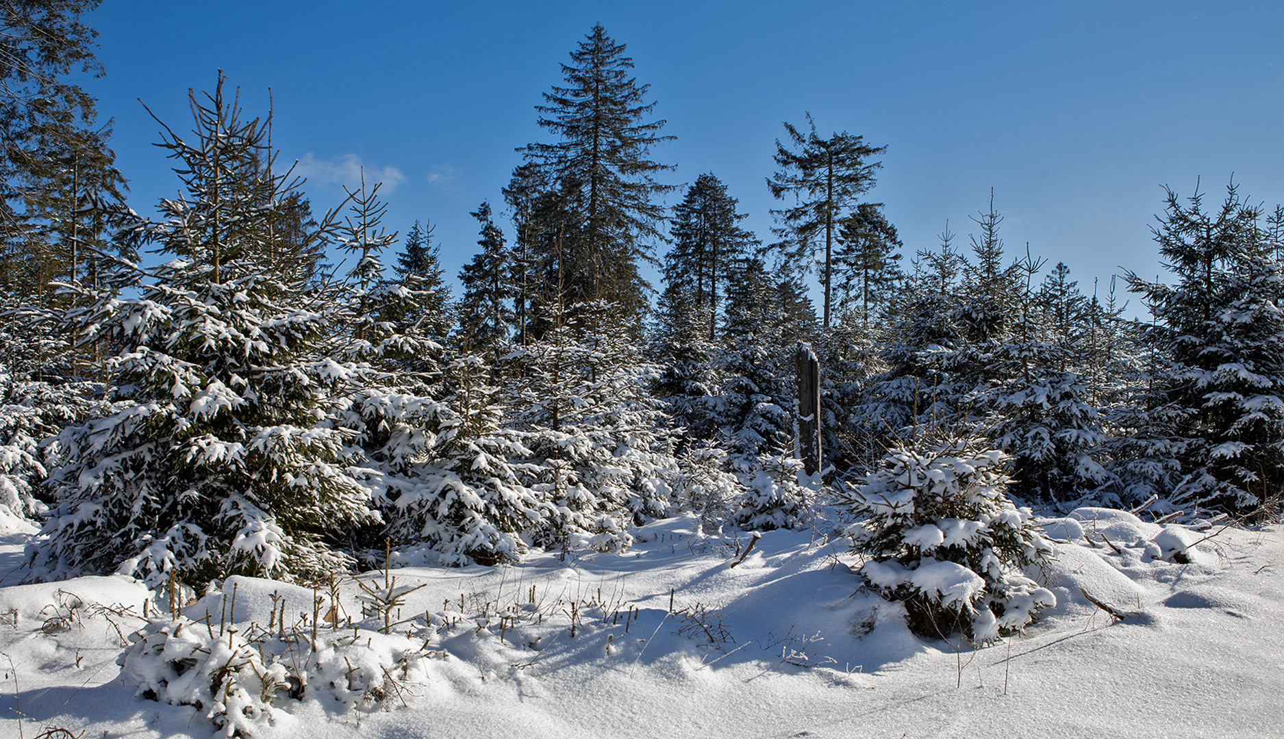 Winterliches Sauerland 015 