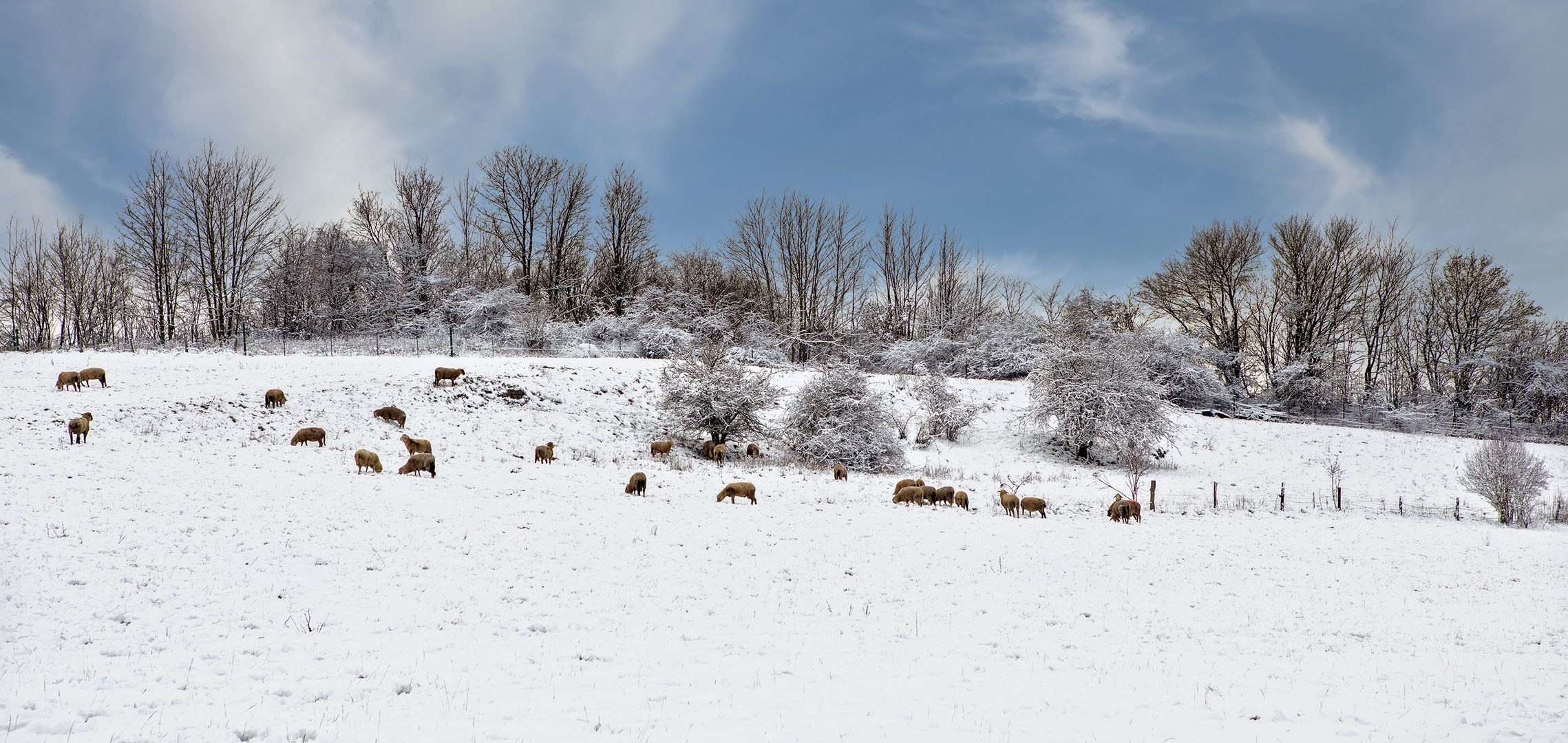 Winterliches Sauerland 021 