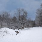 Winterliches Sauerland