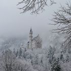 Winterliches Schloss Neuschwanstein, Füssen