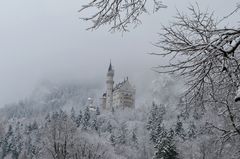 Winterliches Schloss Neuschwanstein, Füssen