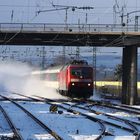 Winterliches Schneegestöber