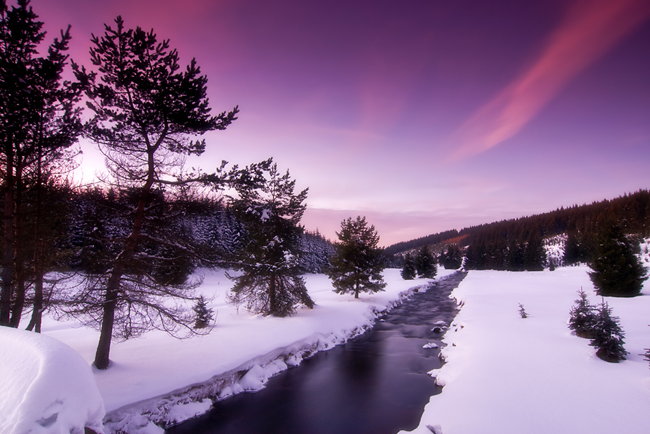 Winterliches Schwarzwassertal