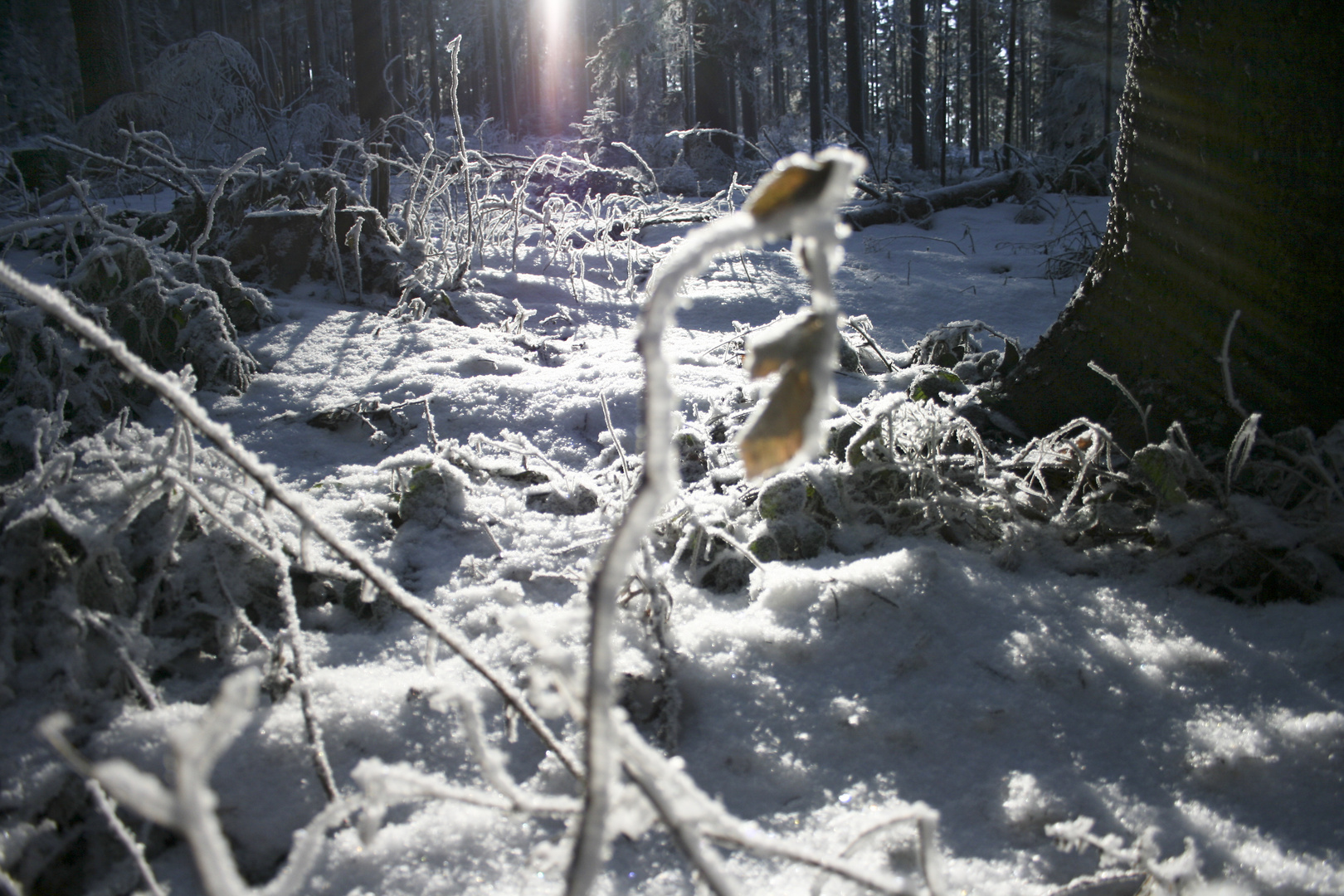 winterliches solarium