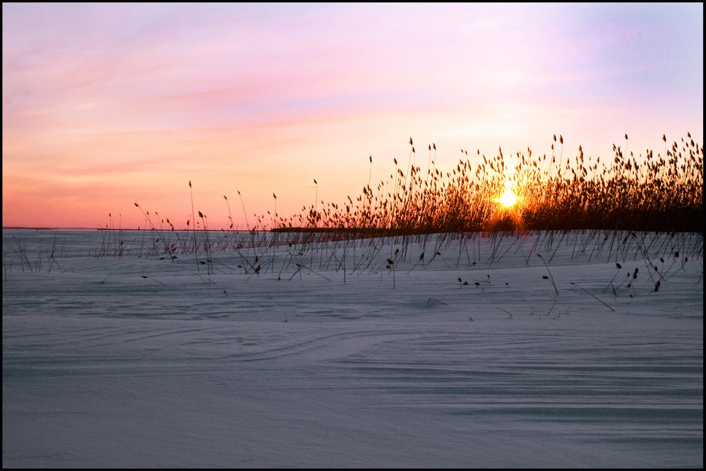 winterliches sonnenlicht