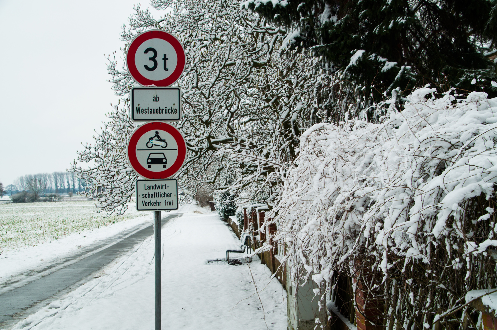 winterliches Stilleben