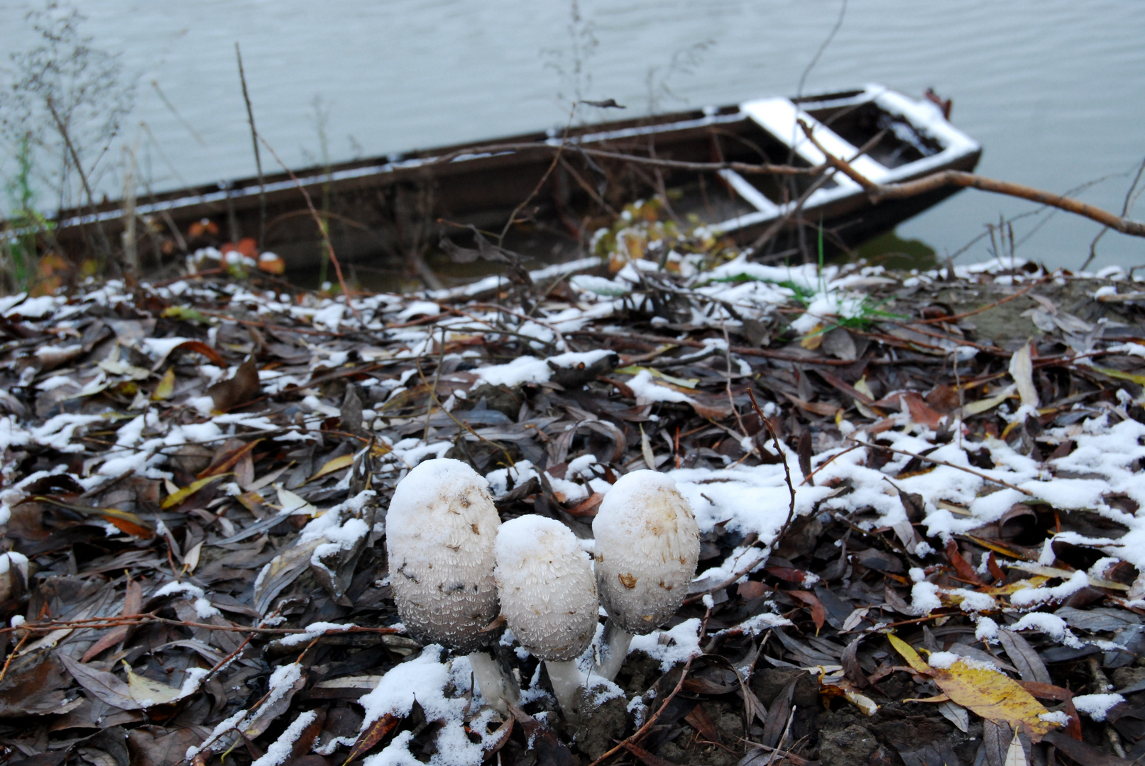 Winterliches Stillleben