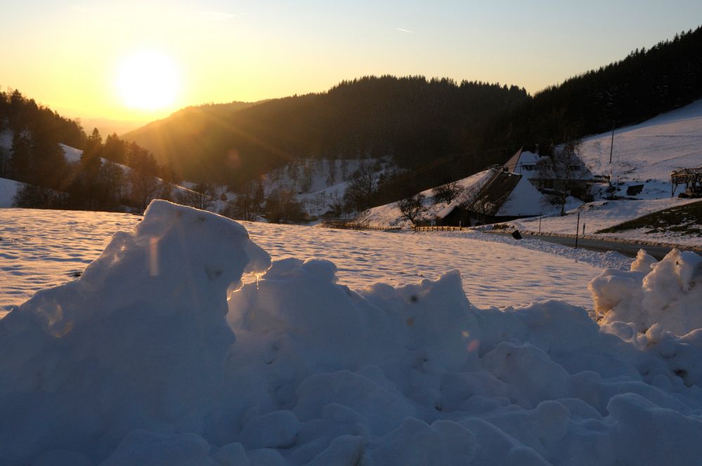 Winterliches Suchbild von Gaubies 