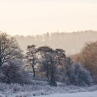 Winterliches Tal