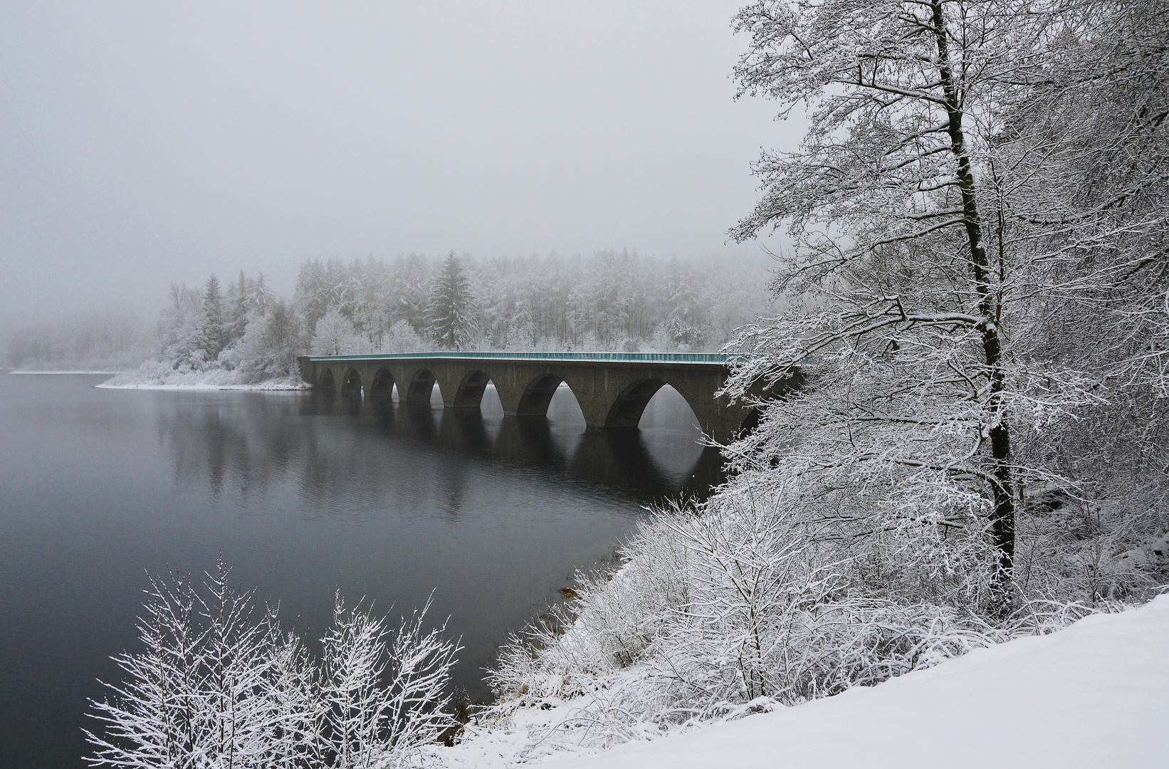 winterliches Talsperrenufer