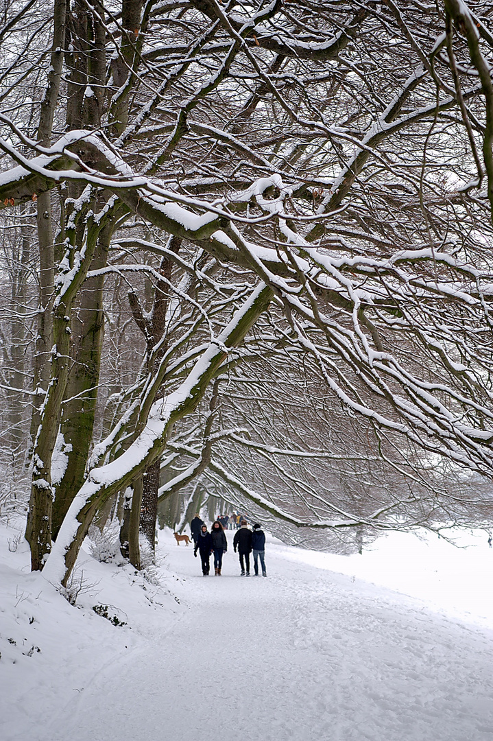 Winterliches Treiben auf der Promenade in Bielefeld