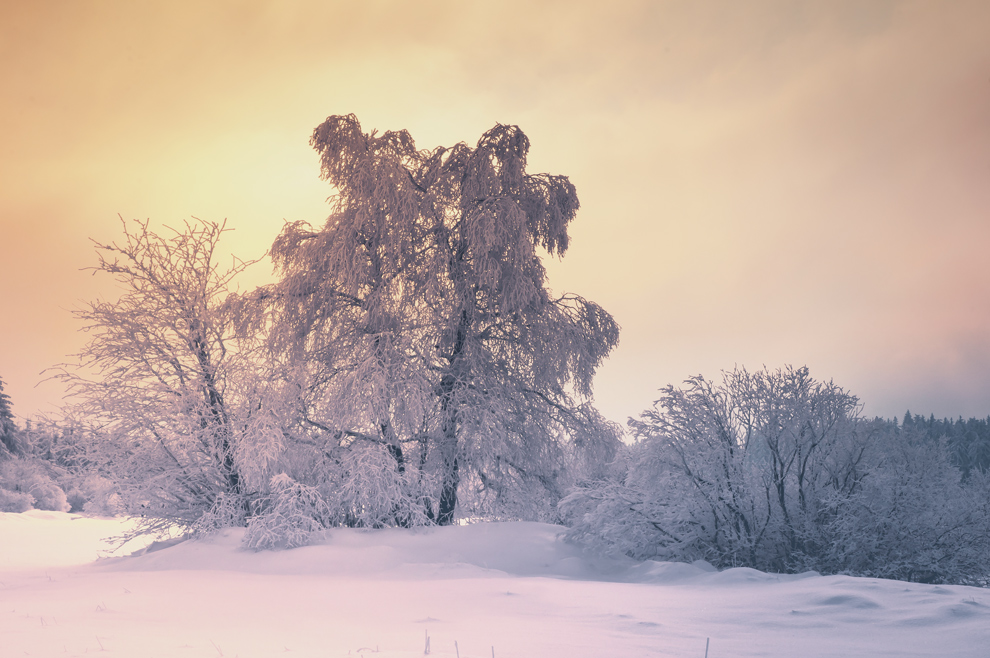 winterliches Venn