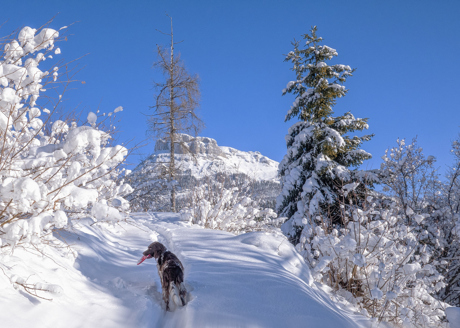 winterliches Vergnügen