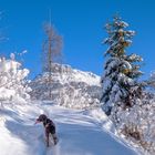 winterliches Vergnügen