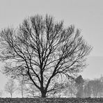 Winterliches Voreifelpanorama...