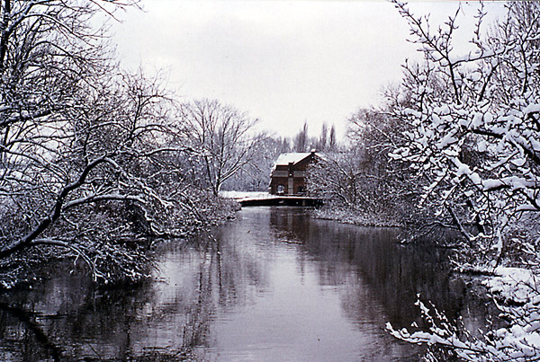 Winterliches Wasser