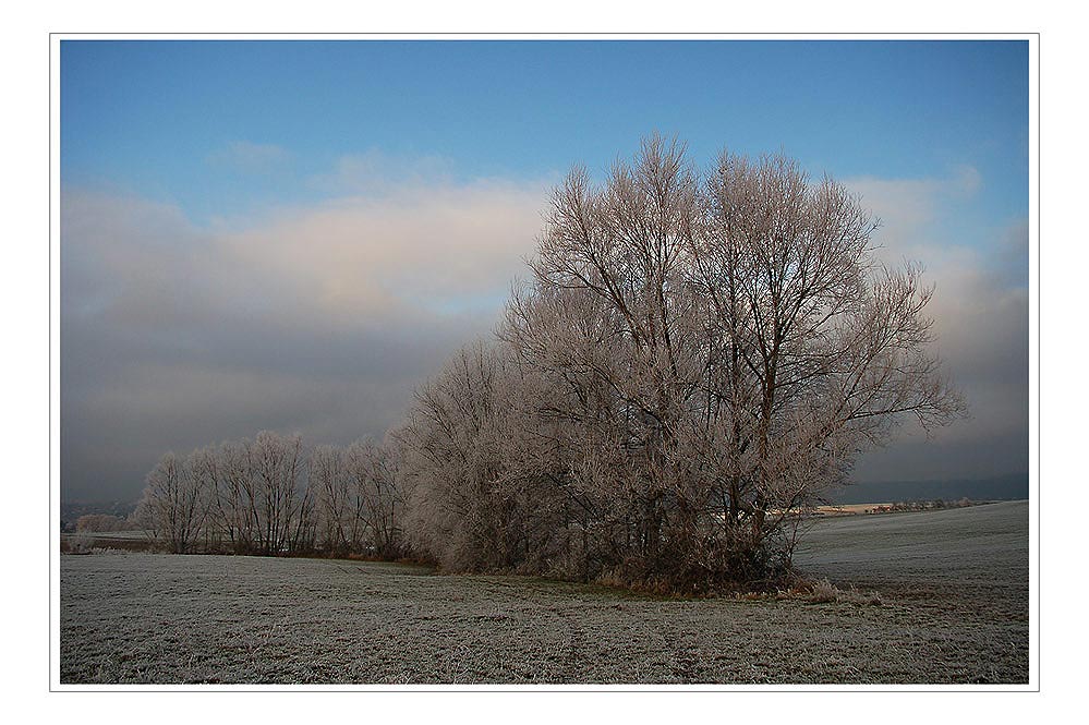 Winterliches Weihnachten...