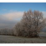 Winterliches Weihnachten...