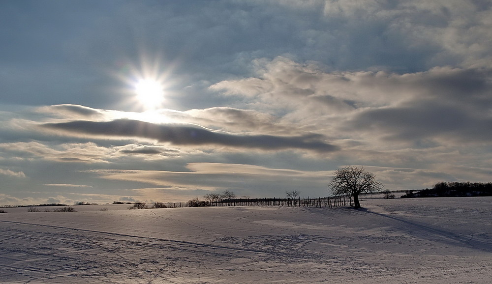 Winterliches Weinviertel