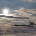 Winterliches Weinviertel