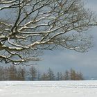 Winterliches Windhausen