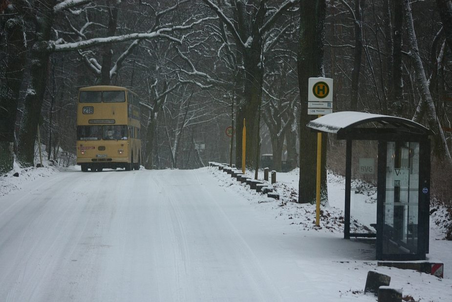 Winterlichster Grunewald