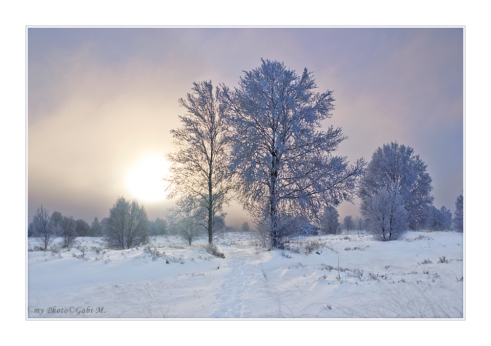 ~Winterlichstimmung~