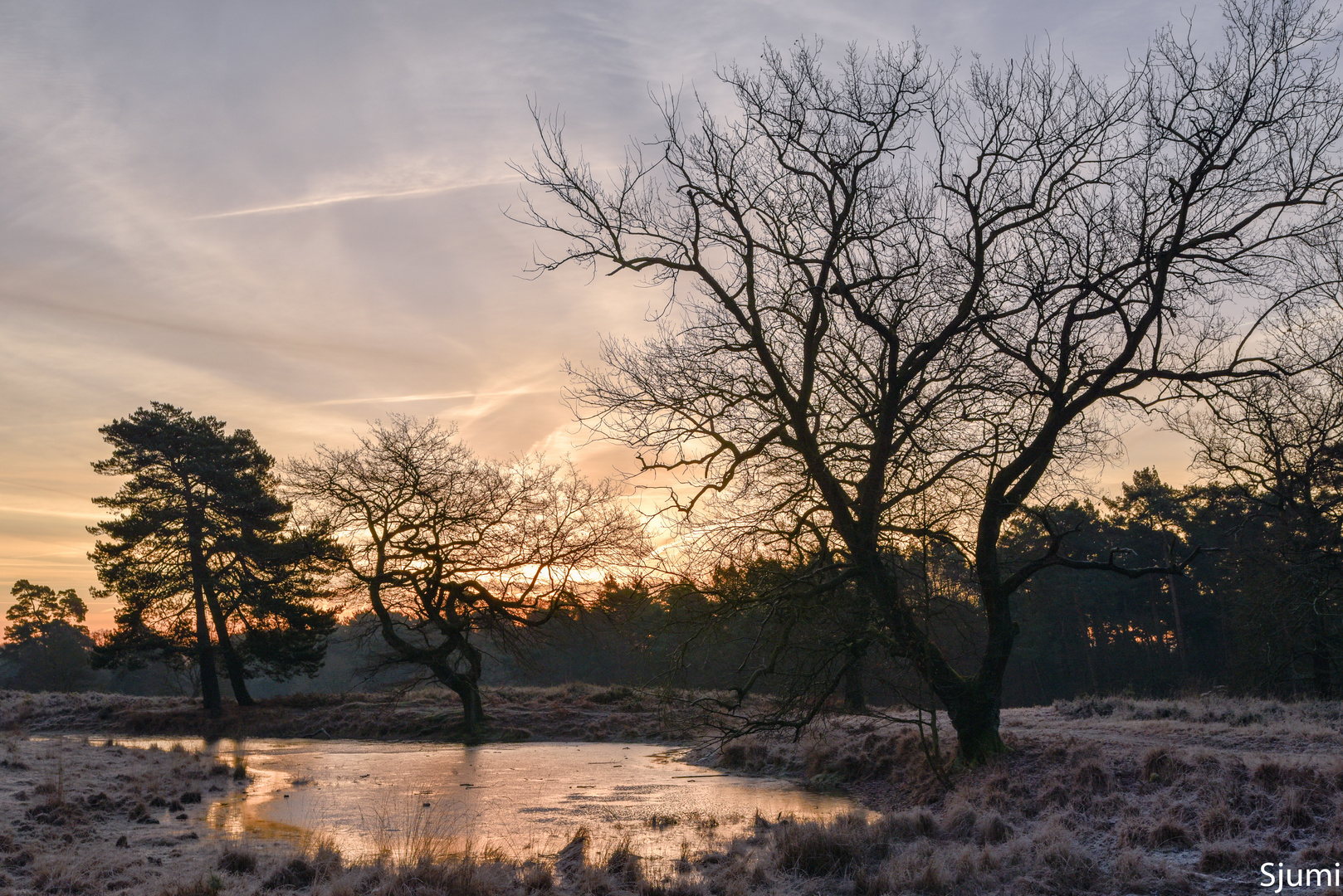 Winterlicht