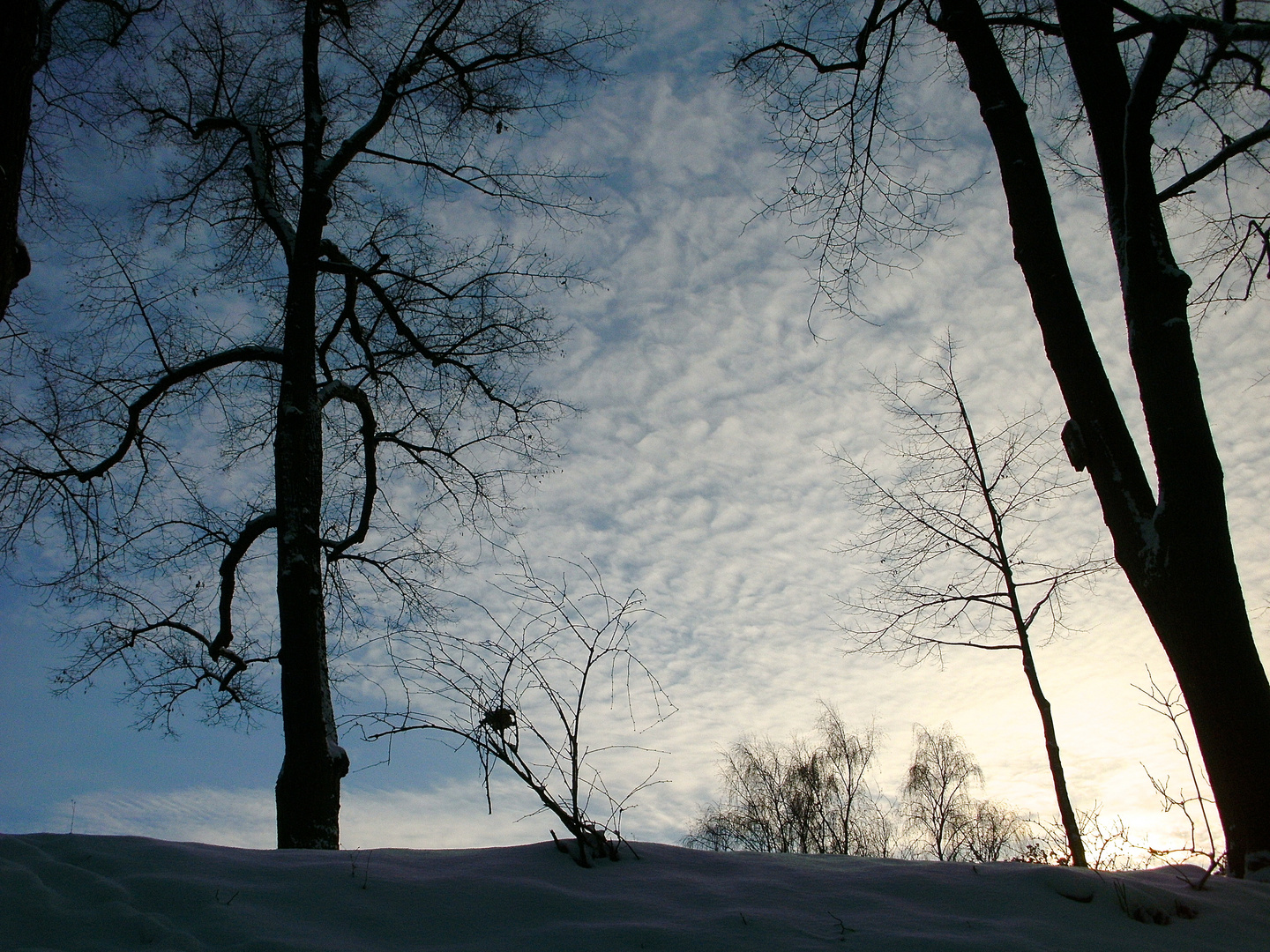 Winterlicht