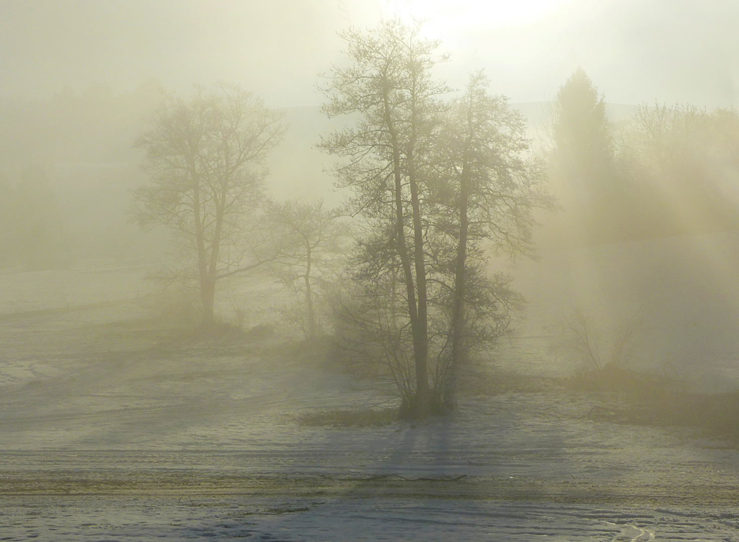 Winterlicht