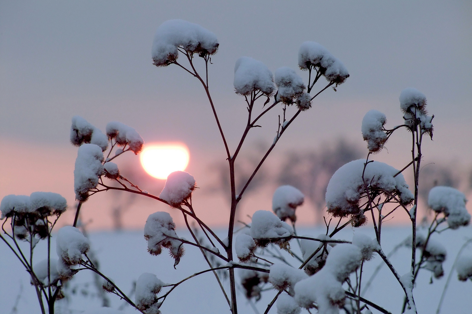 Winterlicht