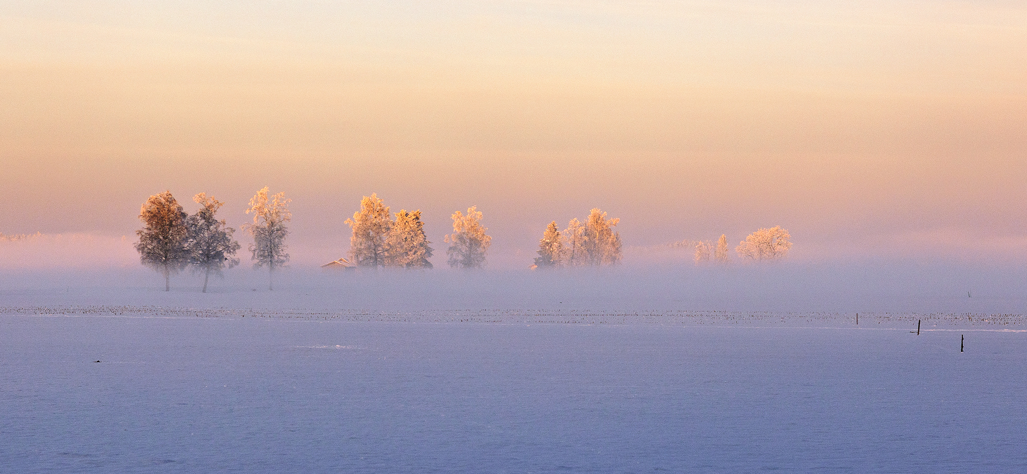 Winterlicht