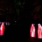 Winterlicht 2019 Palmengarten Frankfurt