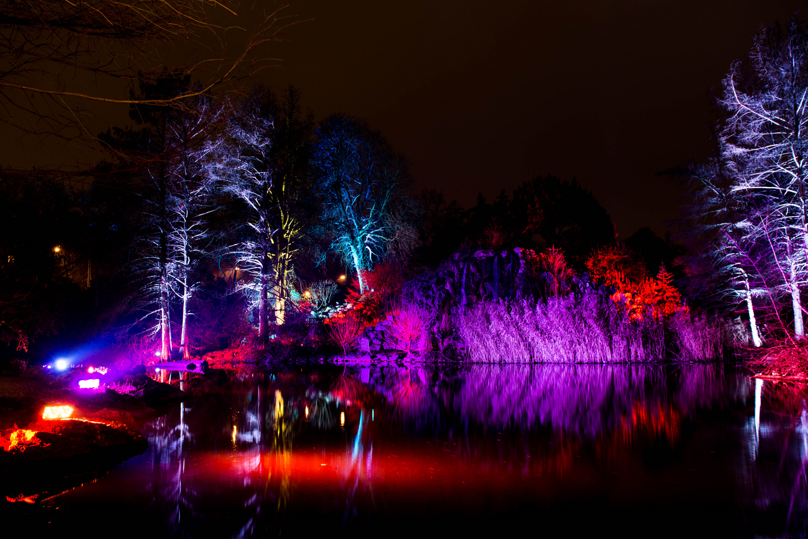 Winterlicht 2019 Palmengarten Frankfurt Foto Bild Reportage
