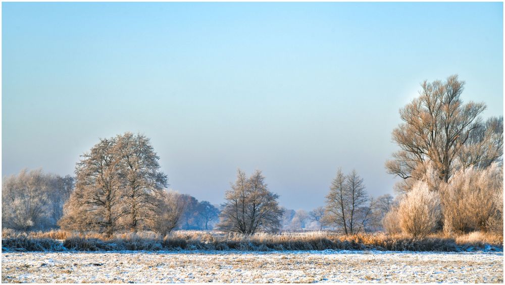 Winterlicht