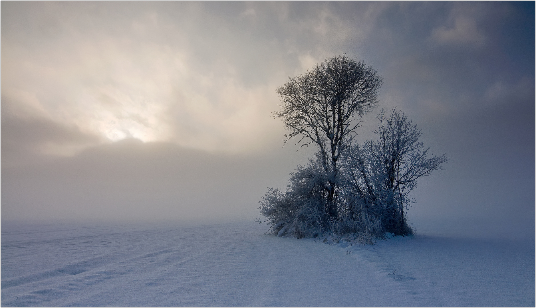 Winterlicht