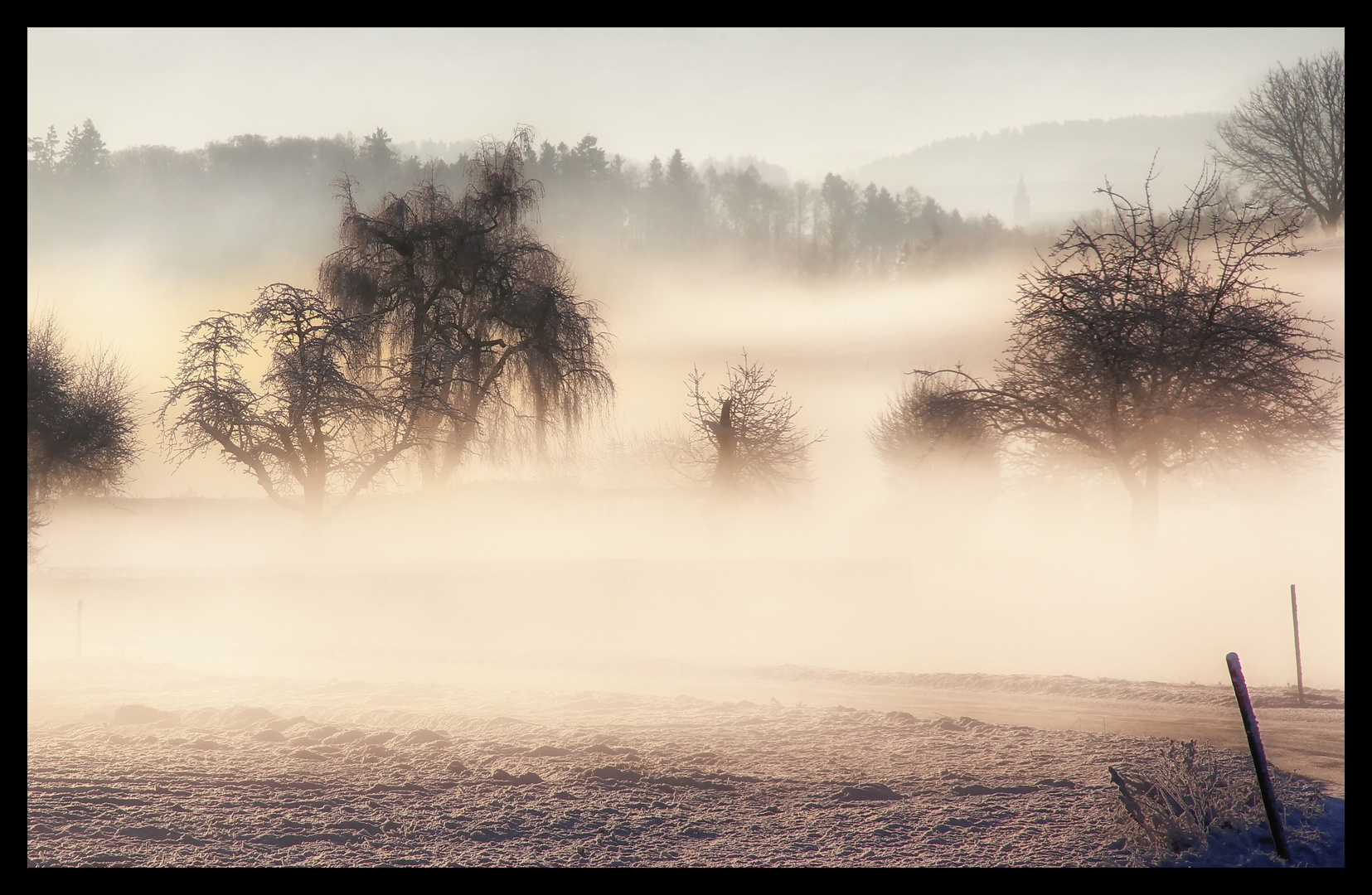 Winterlicht