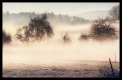 Winterlicht