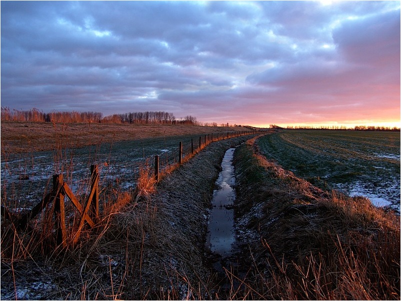 *Winterlicht*