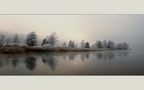 Winterlicht von Verena F.