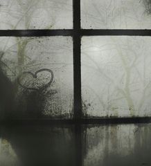 - winterlicht -