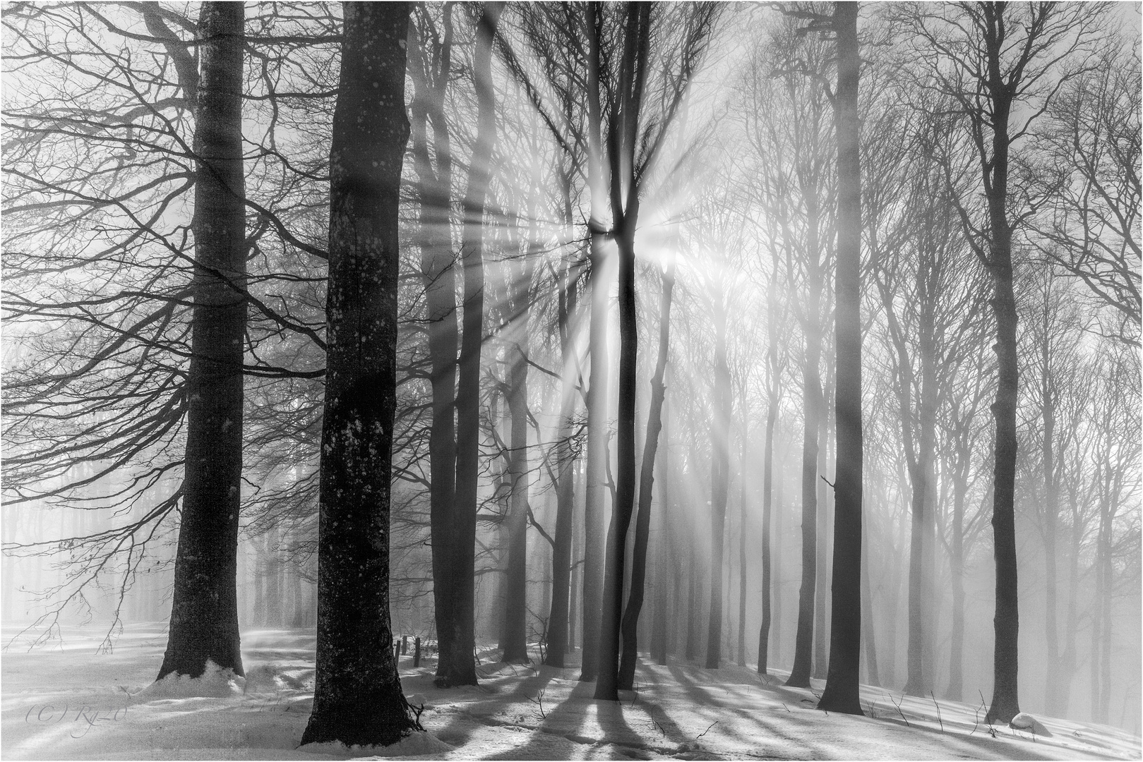 Winterlicht Winterlicht